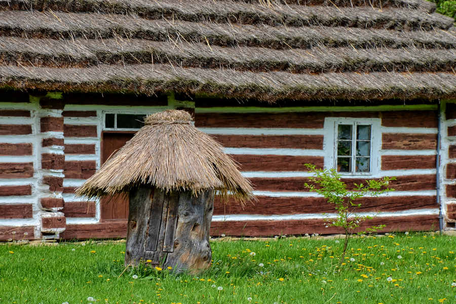 Tydzień dla grupy zorganizowanej